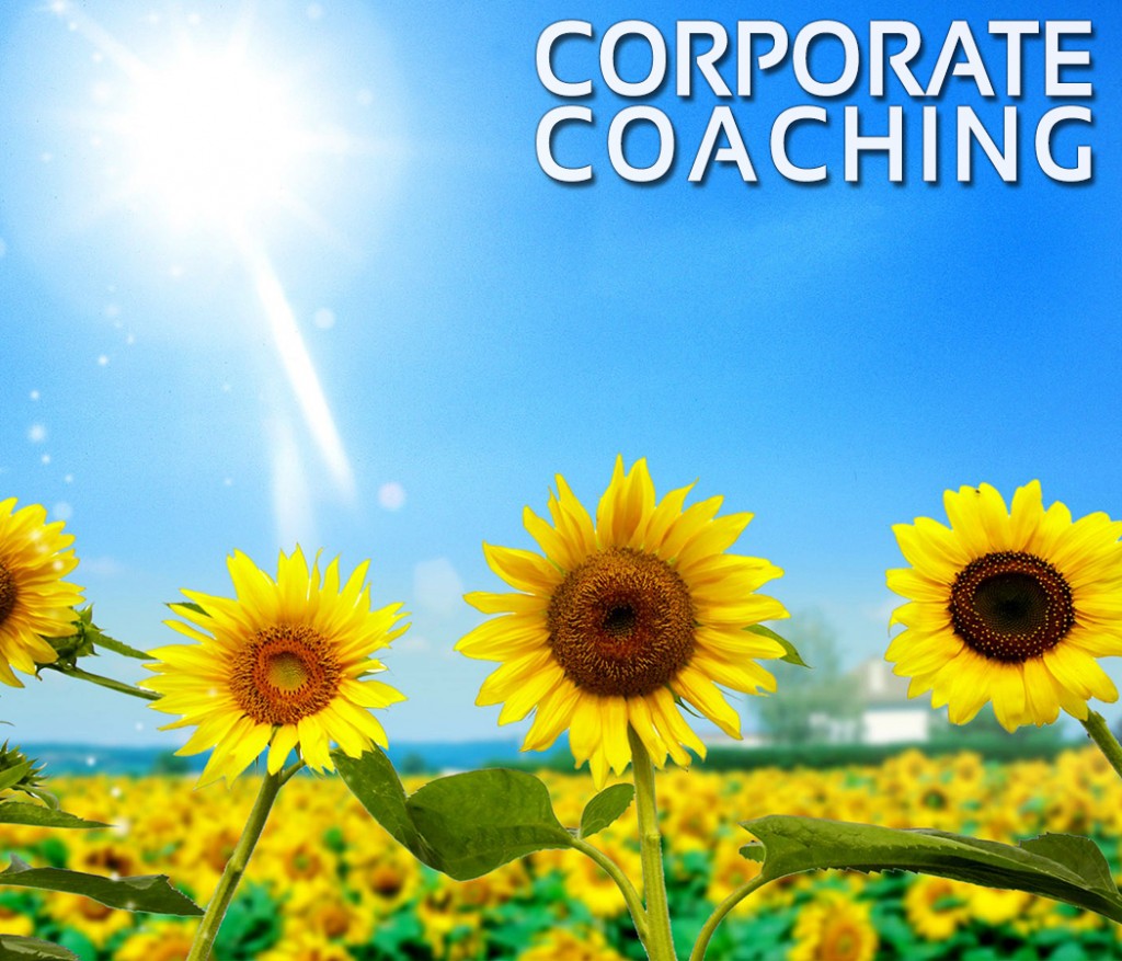 Corporate Coaching